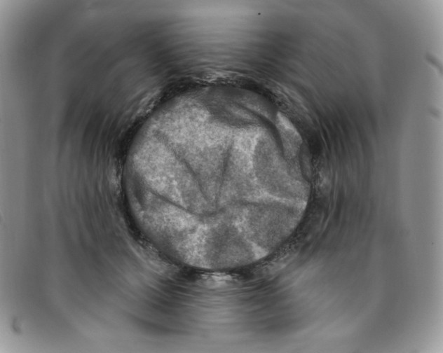 X0000095550607200801111455