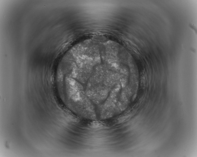 X0000095550608200801111455