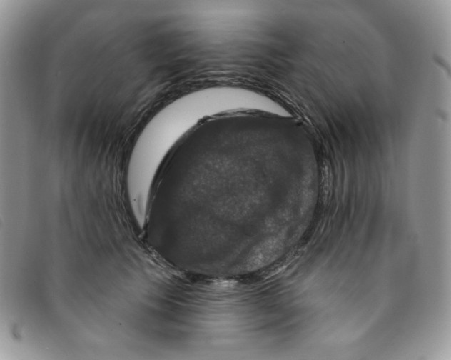 X0000095550609200801111455