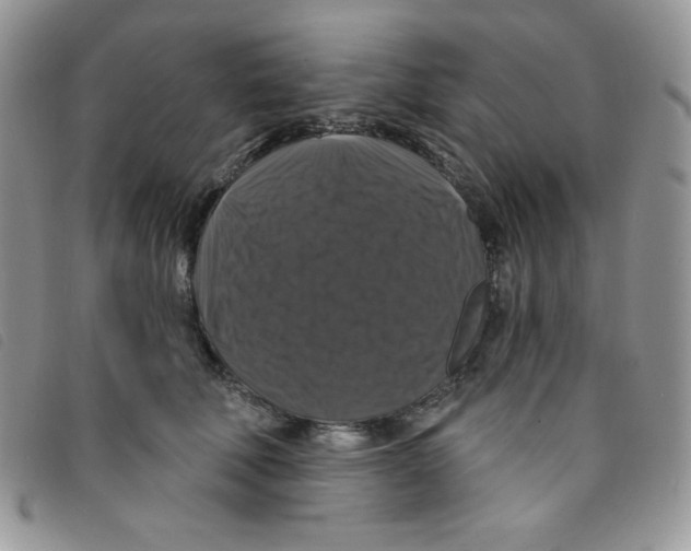 X0000095550610200801111455