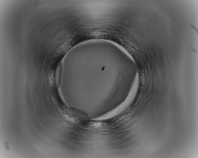 X0000095550611200801111455