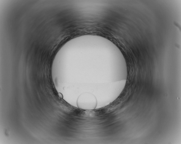 X0000095550612200801111455