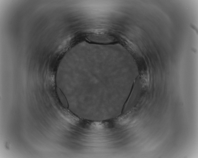 X0000095550613200801111455