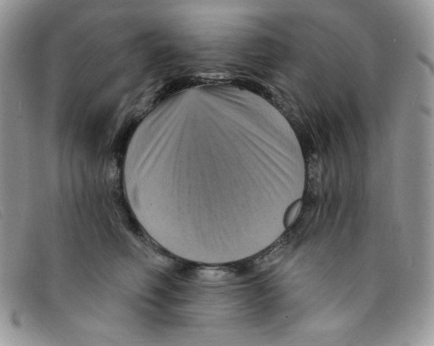 X0000095550614200801111455