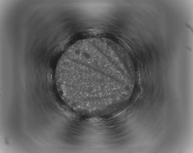 X0000095550615200801111455