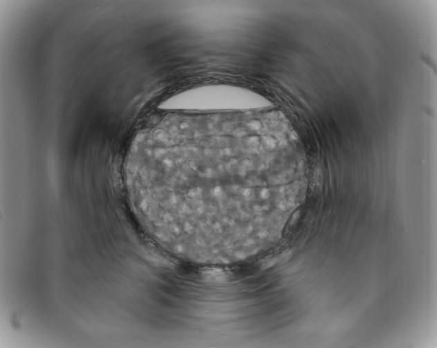 X0000095550616200801111455