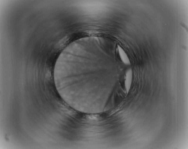 X0000095550618200801111455