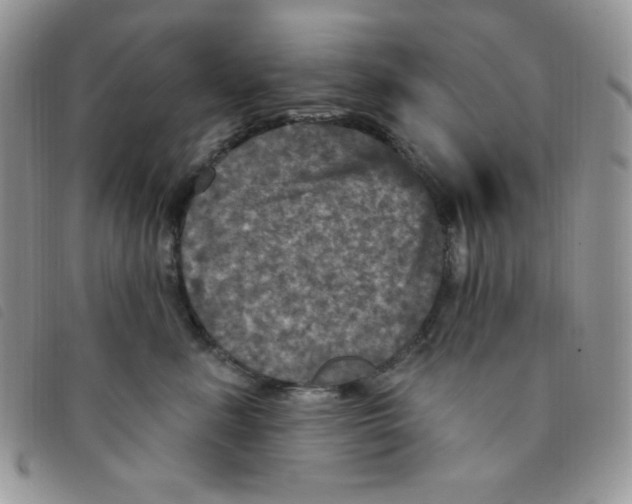 X0000095550619200801111455