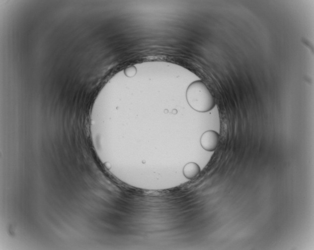 X0000095550620200801111455