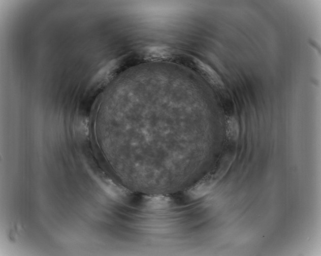 X0000095550621200801111455