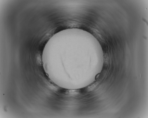 X0000095550622200801111455