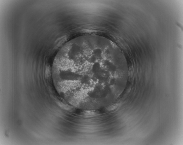 X0000095550623200801111455