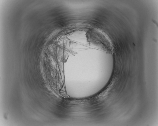 X0000095550625200801111454