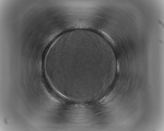 X0000095550627200801111454