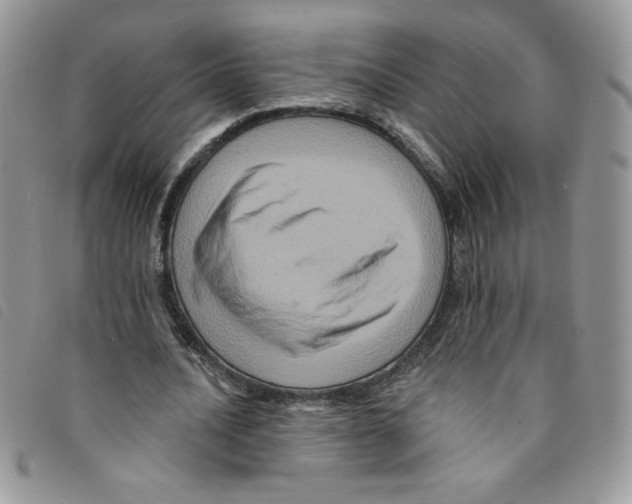 X0000095550628200801111454