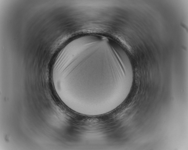 X0000095550631200801111454