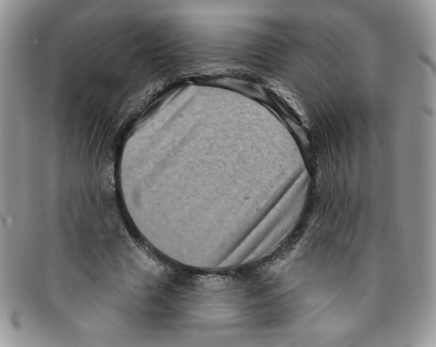 X0000095550633200801111454