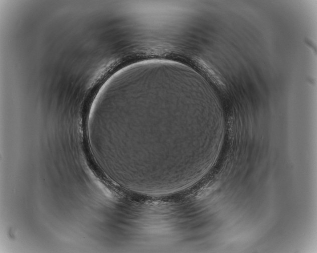 X0000095550634200801111454