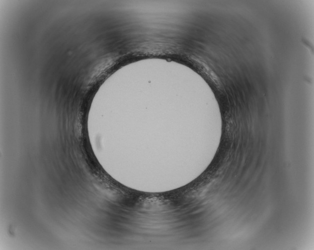 X0000095550635200801111454