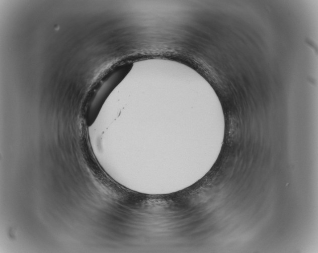 X0000095550636200801111454