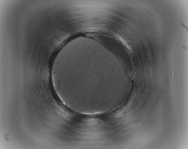 X0000095550637200801111454