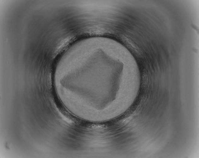 X0000095550638200801111454