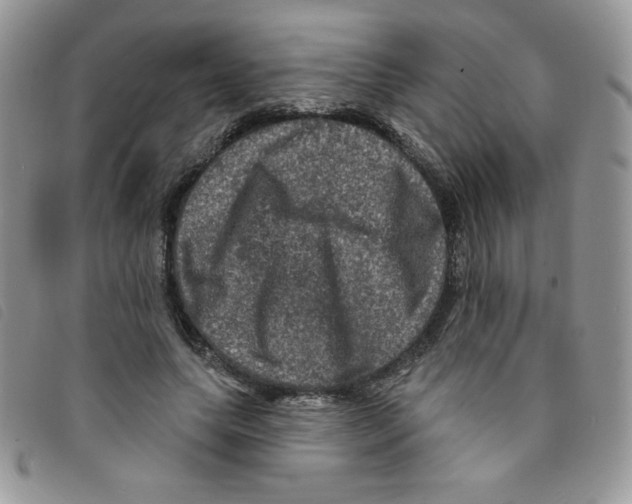 X0000095550639200801111454