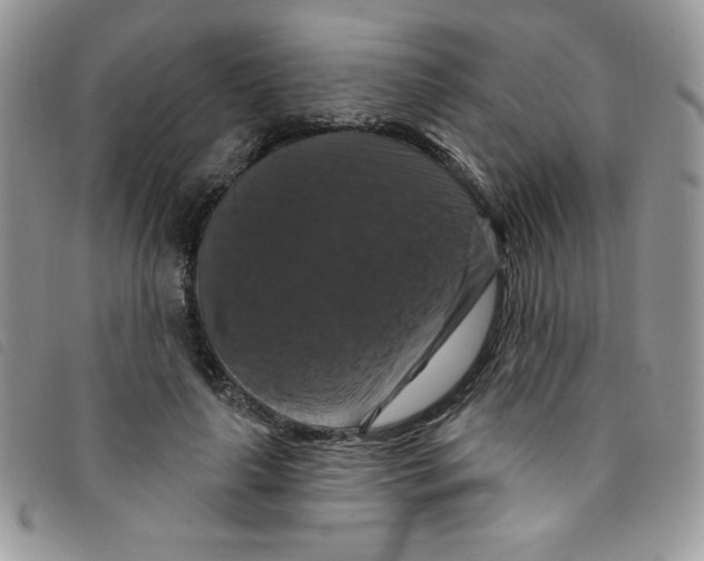 X0000095550643200801111454