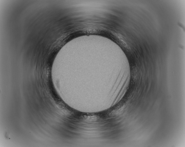 X0000095550645200801111455