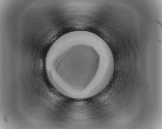 X0000095550646200801111455