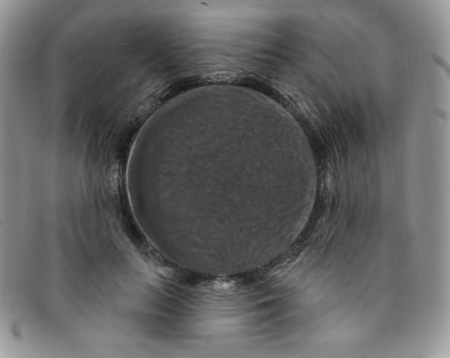 X0000095550647200801111455