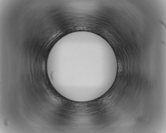 X0000095550648200801111455