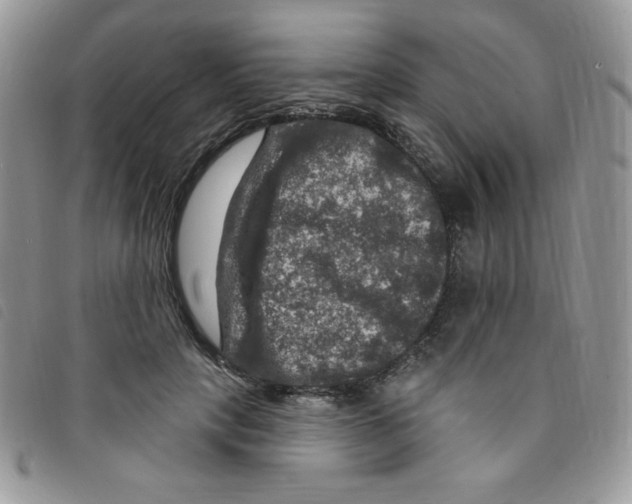 X0000095550649200801111455