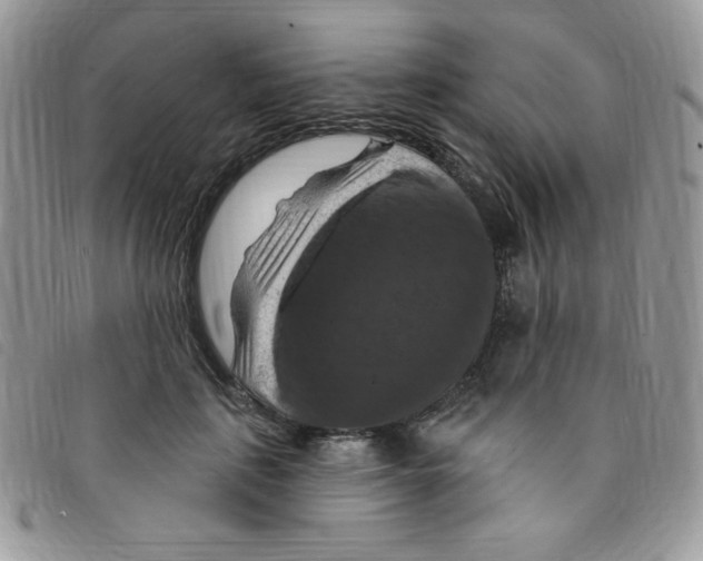 X0000095550651200801111455