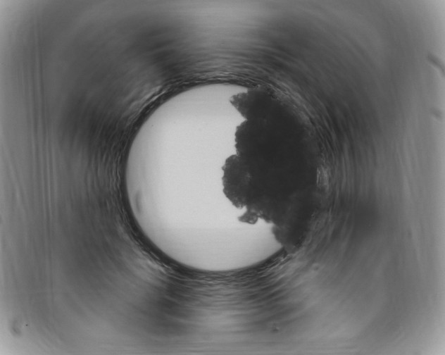 X0000095550652200801111455