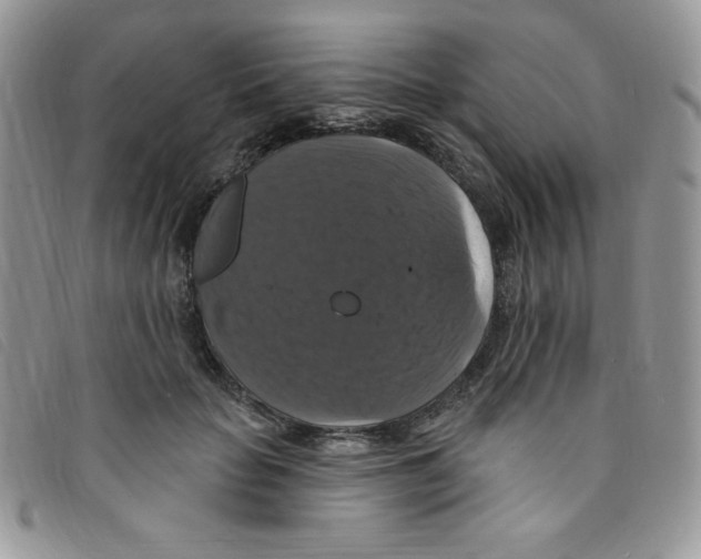 X0000095550653200801111455