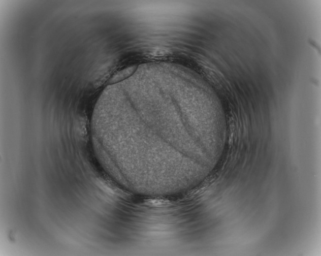 X0000095550654200801111455