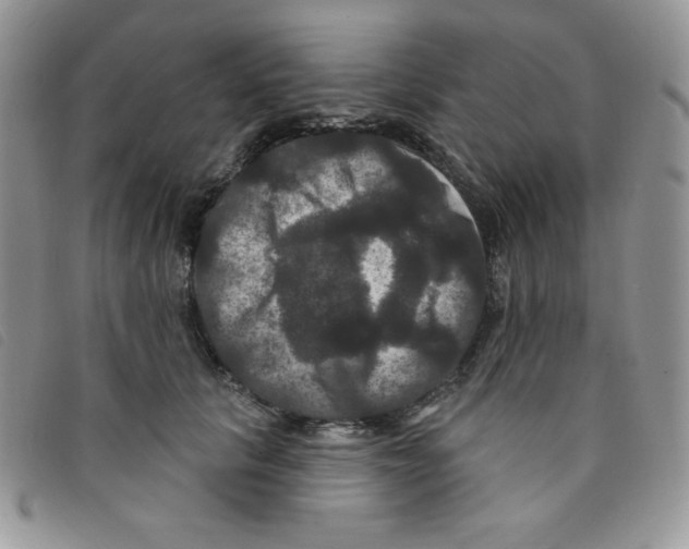 X0000095550657200801111455