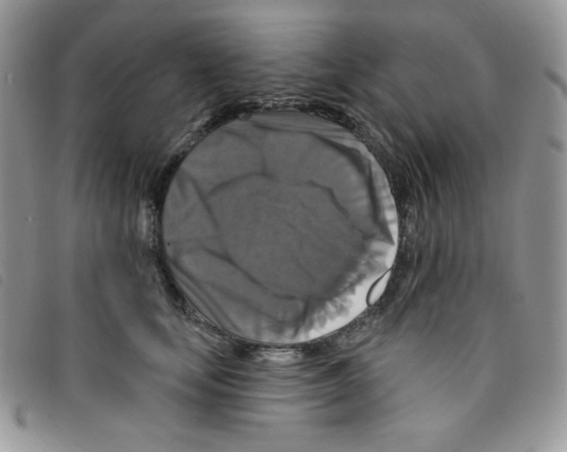 X0000095550659200801111455