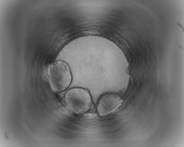 X0000095550660200801111455