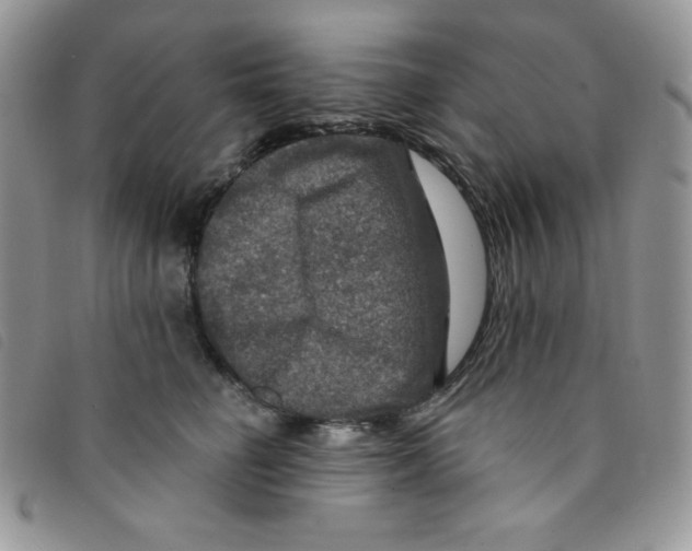 X0000095550662200801111455