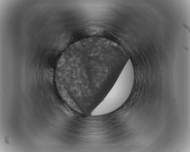 X0000095550664200801111455