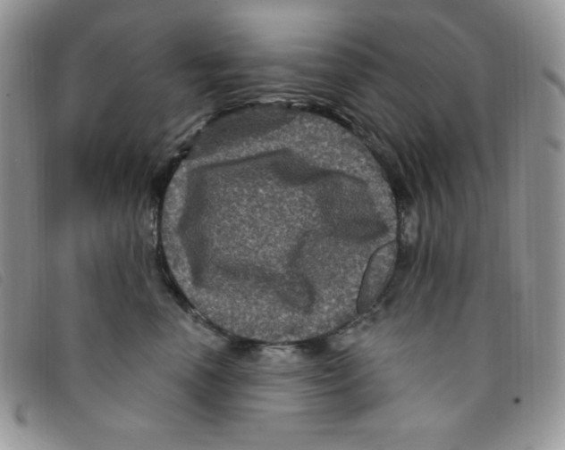 X0000095550666200801111455