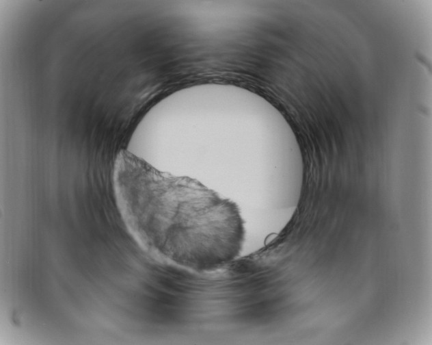 X0000095550668200801111455