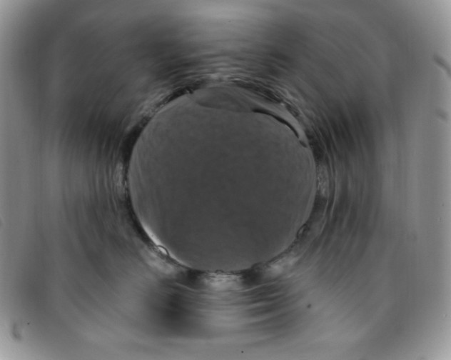 X0000095550670200801111455