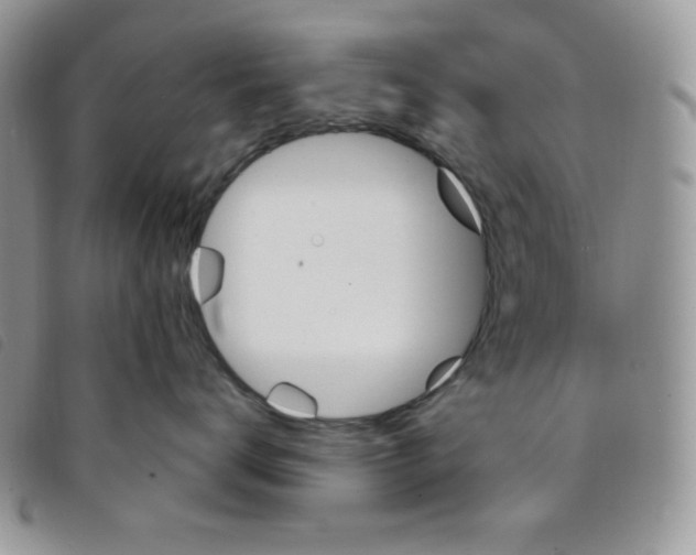 X0000095550672200801111455