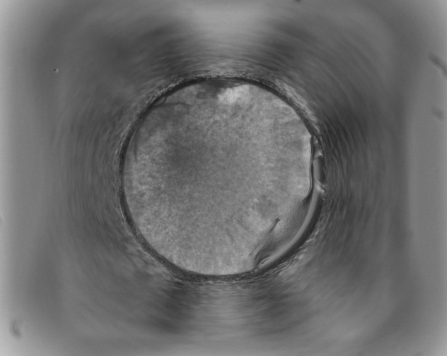 X0000095550673200801111454