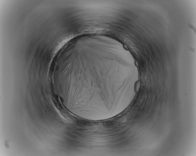 X0000095550674200801111454