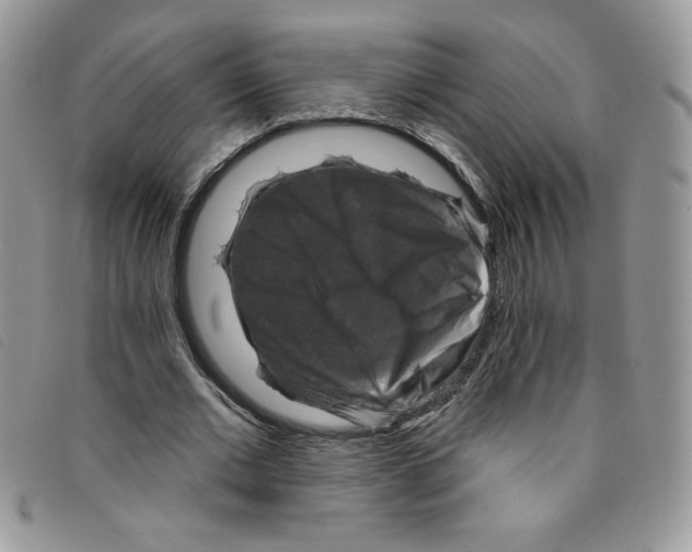 X0000095550677200801111454