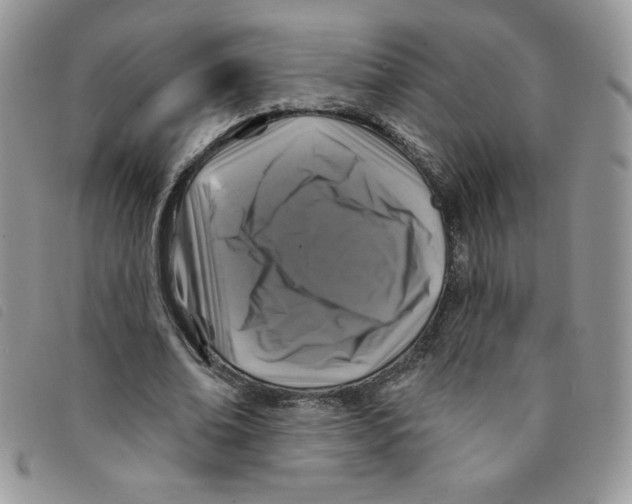 X0000095550678200801111454